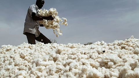 cotton price per quintal in maharashtra akot.