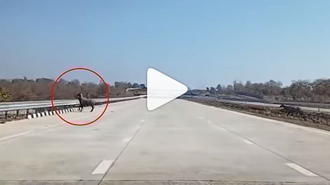 Samruddhi Mahamarg News