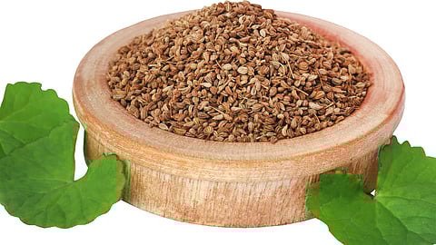 Ajwain Leaves Benefit