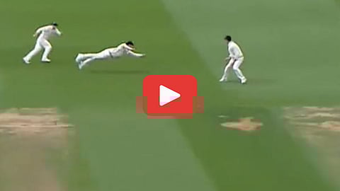 Michael Bracewell Catch