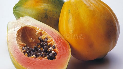Nandurbar, papaya price