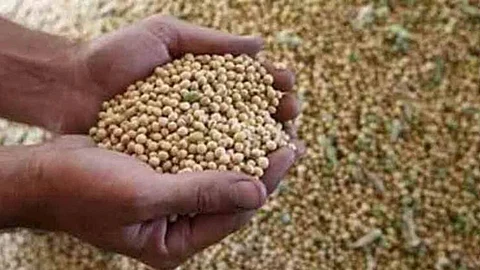 Soybean Price