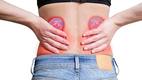 How long a human can survive without kidneys