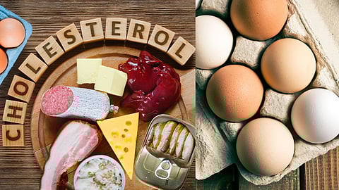 Eggs Harmful For Heart