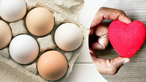 Eggs Harmful For Heart
