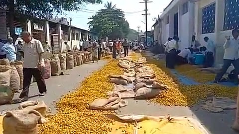 Sangli, Turmeric Price