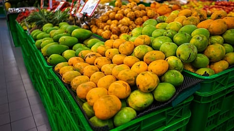 APMC Market , Gudi Padwa 2023, Vashi