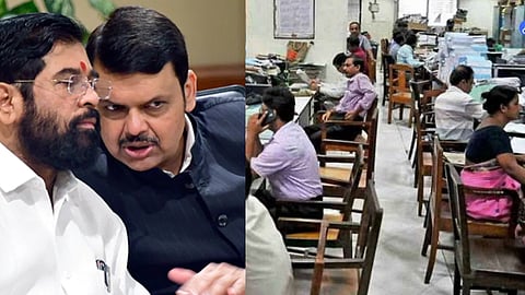 Govt Employee