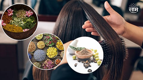 Thick Hair Tips