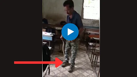 Viral VIdeo
