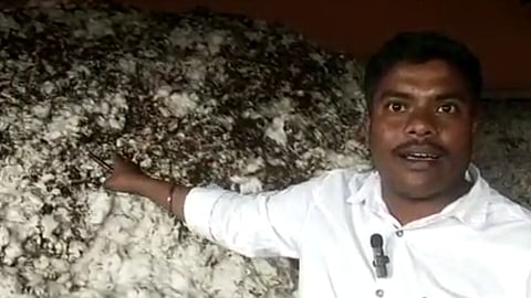 Buldhana Cotton fire News