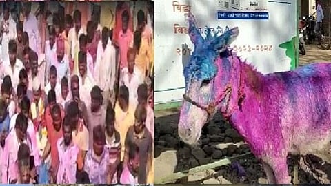 Holi Festival 2023