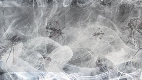 Delhi 6 people in family found dead in house in Shastri Park area