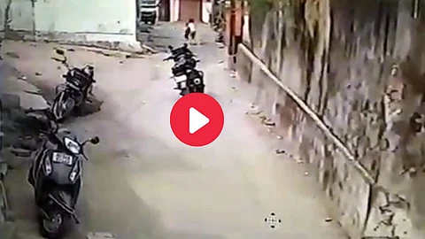 Dog attack