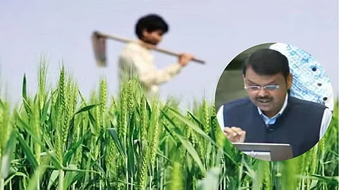 Budget for Farmer