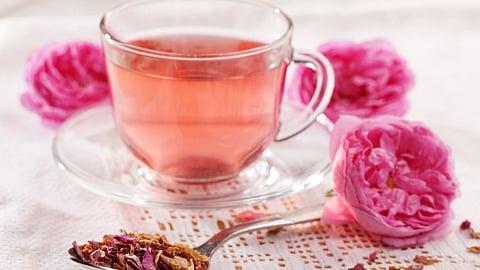 Rose Tea For Weight Loss
