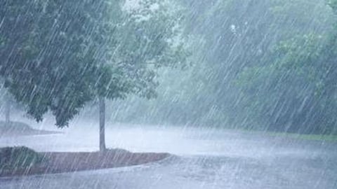 Maharashtra Weather Forecast Today