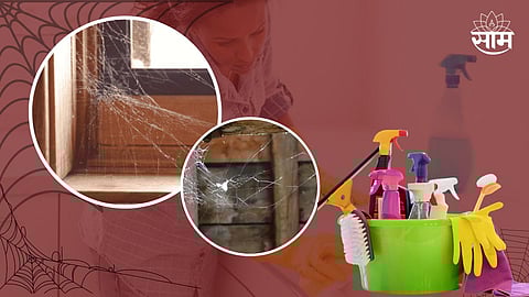 Tips to Clean Spider