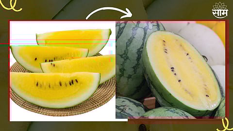 Yellow Watermelon