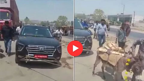 Rajsthan Viral Video