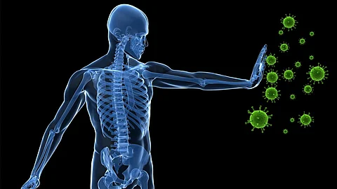 Muscle And Immunity Health