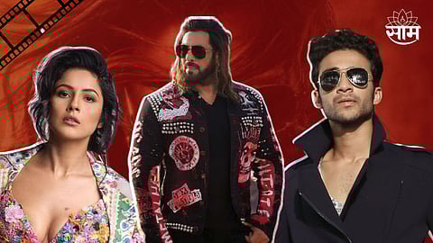 Fees Of Actors Kisi Ka Bhai Kisi Ki Jaan