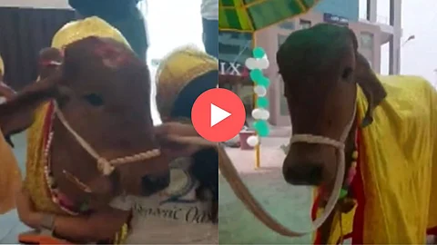 Uttar Pradesh Viral Video