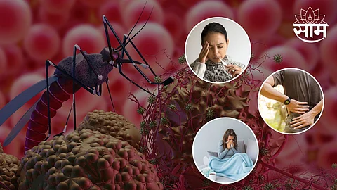 World Malaria Day 2023