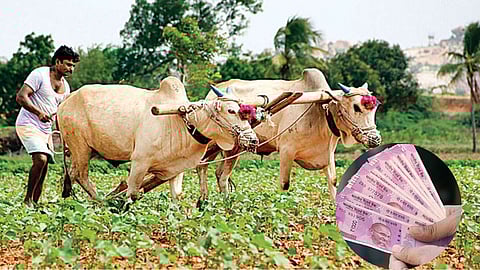 Farmers Compensation Fund