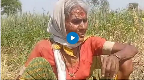 Old Lady Singing song: