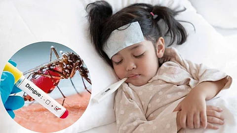 National Dengue Day