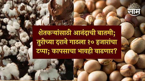 cotton rate today maharashtra