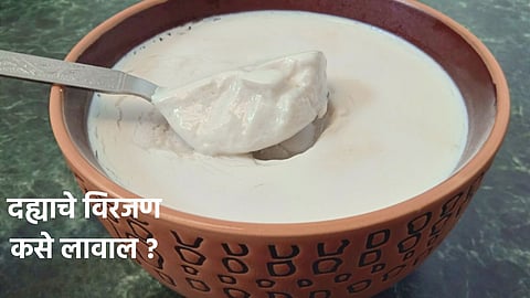 Curd At Home
