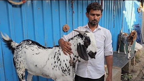 Ambernath Goat Price Rs 1.25 Crore
