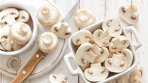 How To Keep Mushroom Fresh