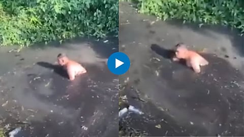 Man jumps into drain to find iPhone shocking viral video social media