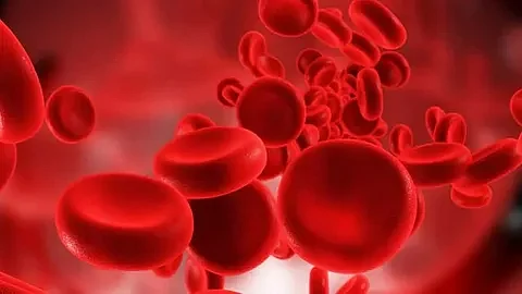 Increase Hemoglobin