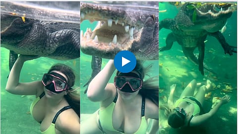 Bikini Girl With Crocodile Video