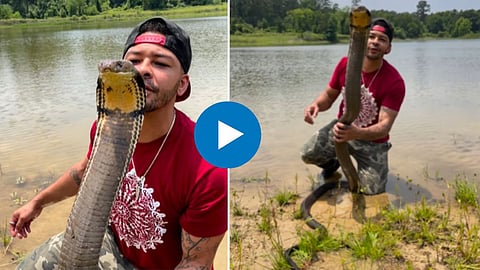 Man kisses 12-foot-long king cobra