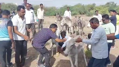Pandharpur News