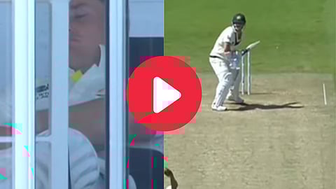 marnus labuschagne viral video