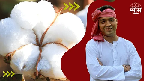 Cotton Price Today Maharashtra
