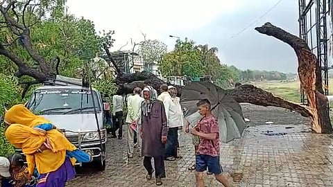 Dhule News