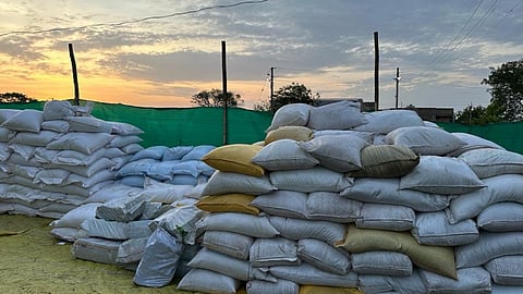 Wardha News, bogus seeds