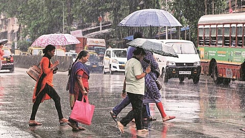 Maharashtra Rain Alert Next 5 Days heavy rain warning in mumbai Pune Konkan Marathwada and vidarbha