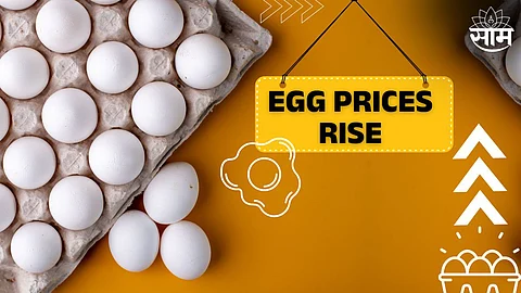 Egg Prices Rise