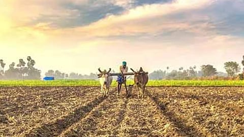 Jalgaon News Kharif Hangam