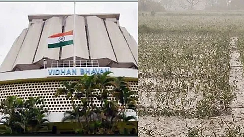 Monsoon Session