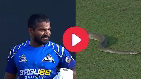 snake in cricket match