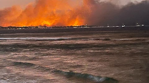 Maui wildfire